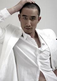 奇道资料,探寻神秘文化传承与智慧结晶